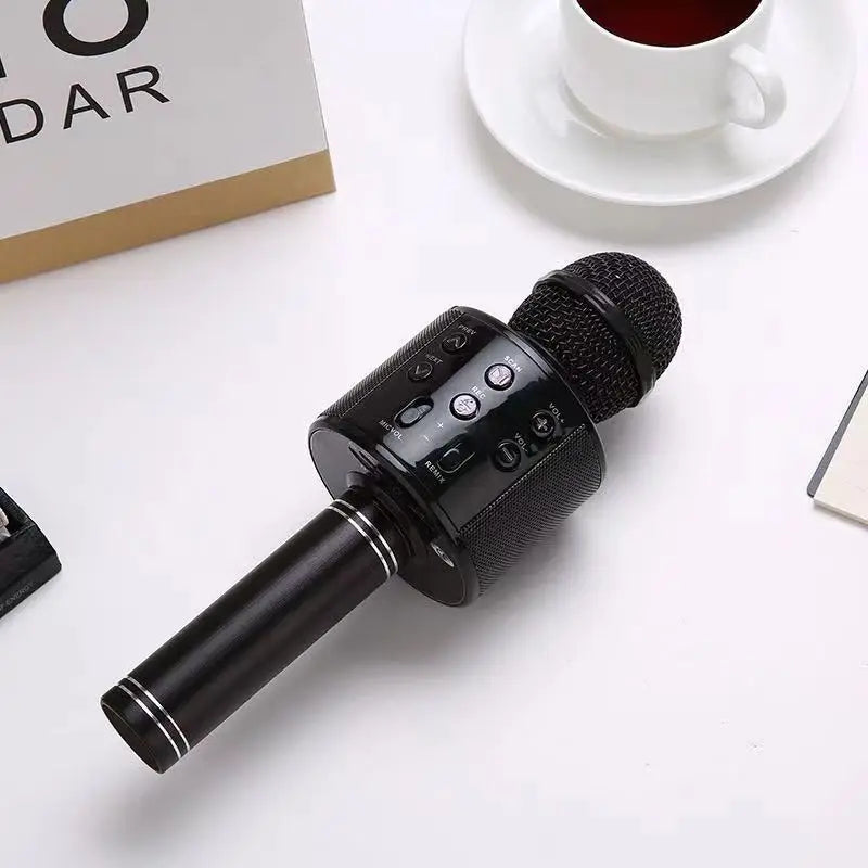 Wireless Bluetooth Karaoke Microphone , Karaoke Mic Speaker With Adjustable Remix FM Radio for Kids Girls Boys Teens Birthday